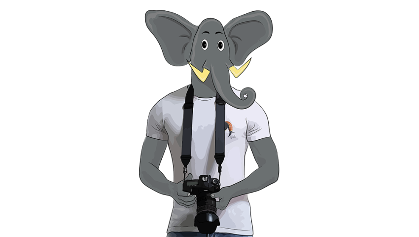AUDIOVISUEL